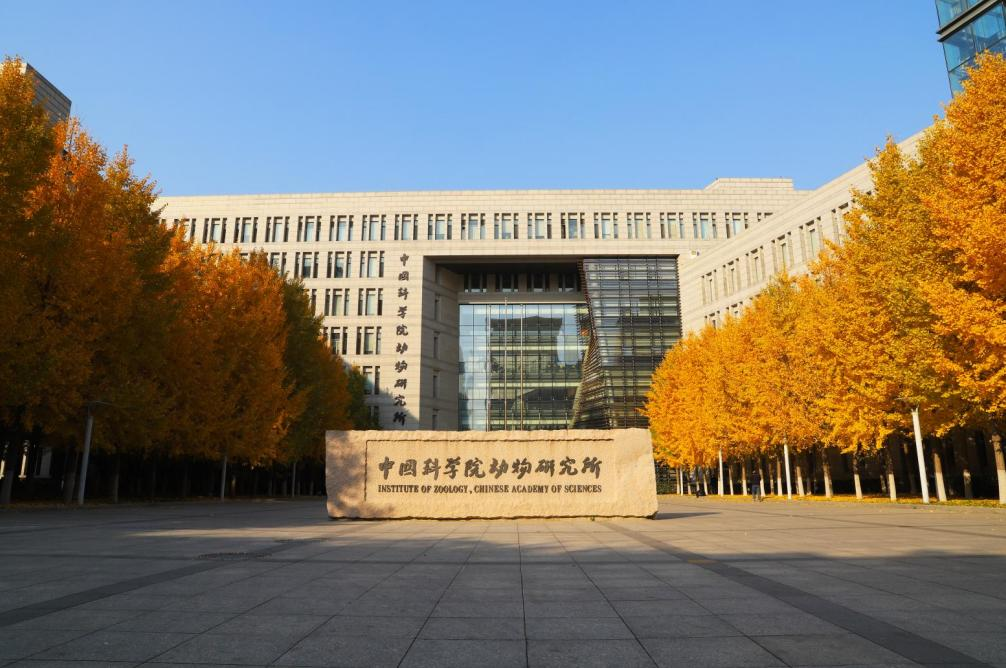 中国科学院动物研究所项目.jpg